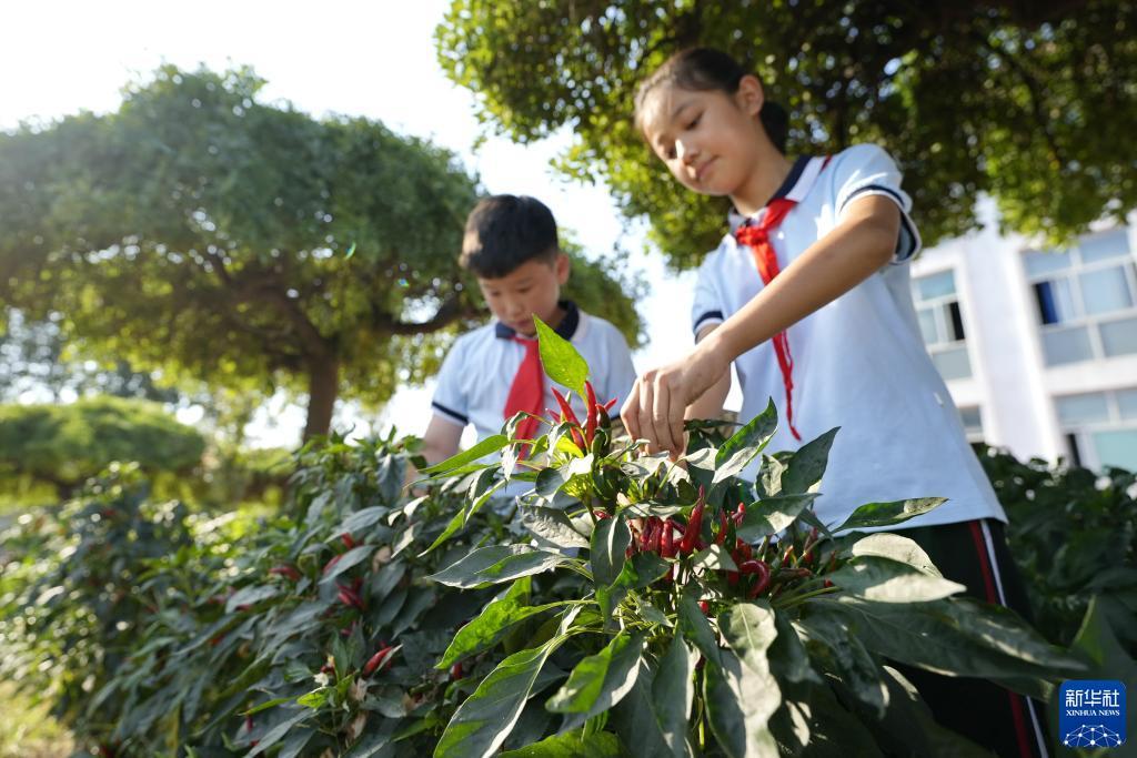 df888cc娱乐场手机版